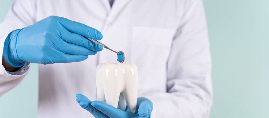 a dental implant dentist holding an oversized dental implant model.